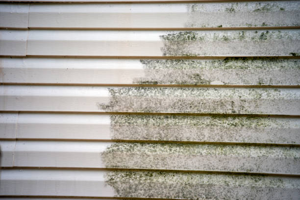 Trusted Meyersdale, PA Junk Removal Experts